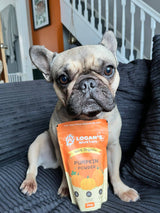 Logan’s Pumpkin Powder For Dogs - Dog Supplement 200g