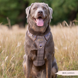 Cocopup Explore Dog Harness - Pup Plaid