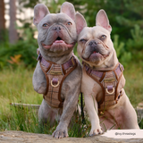 Cocopup Explore Dog Harness - Pup Plaid