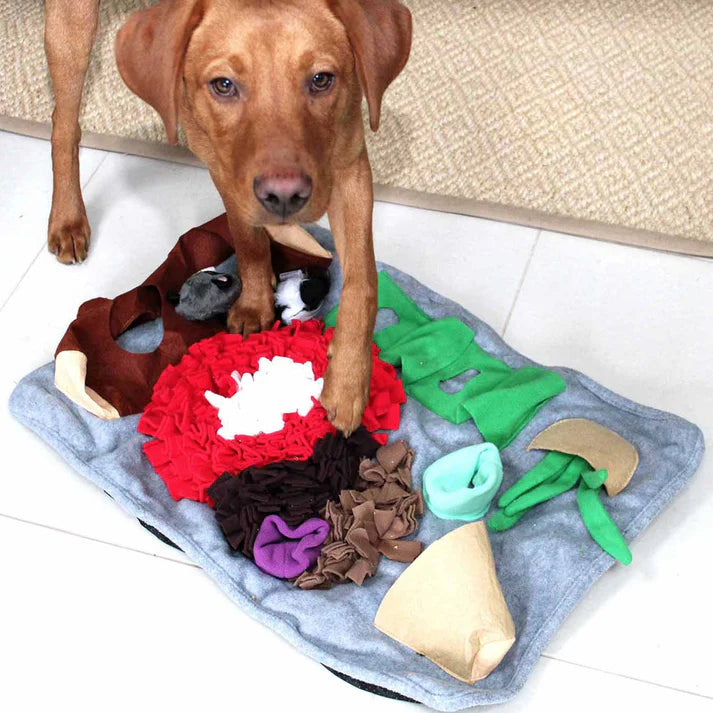 All for Paws Dig it Fluffy Mat with Toy Enrichment Dog Toy