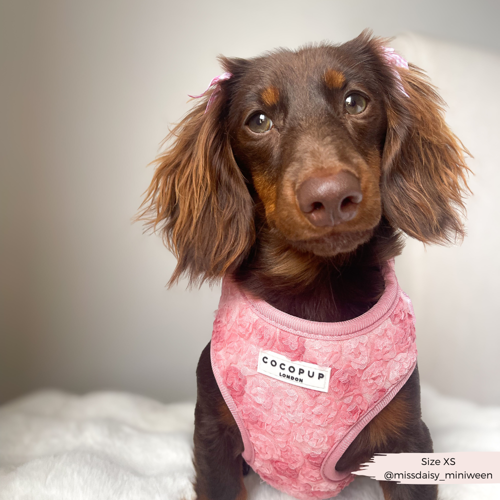 Cocopup Peony Pup Adjustable Neck Harness