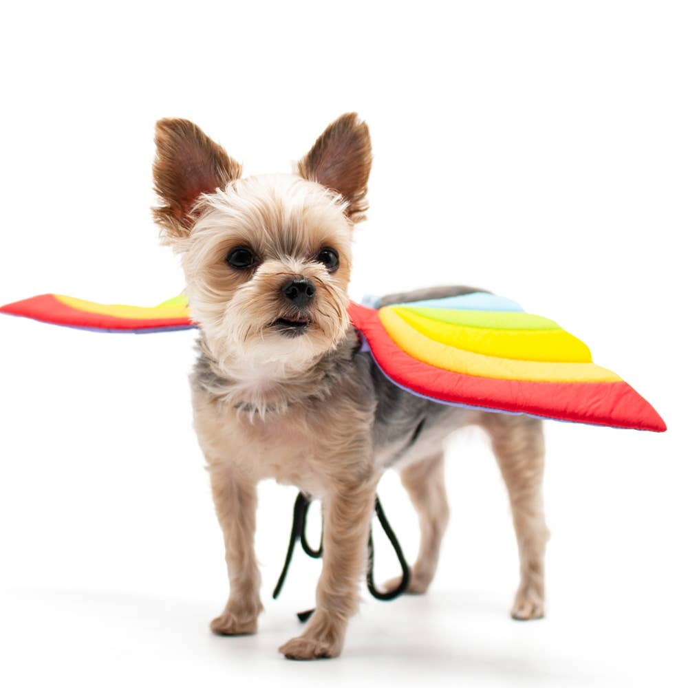 Halloween Rainbow Wings