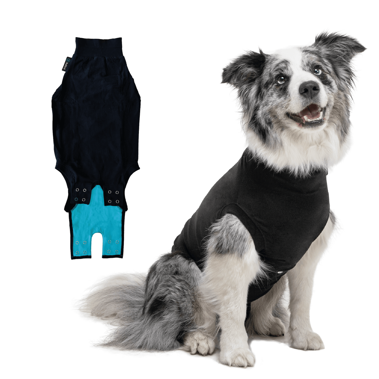 Suitical Recovery Suit - Dog