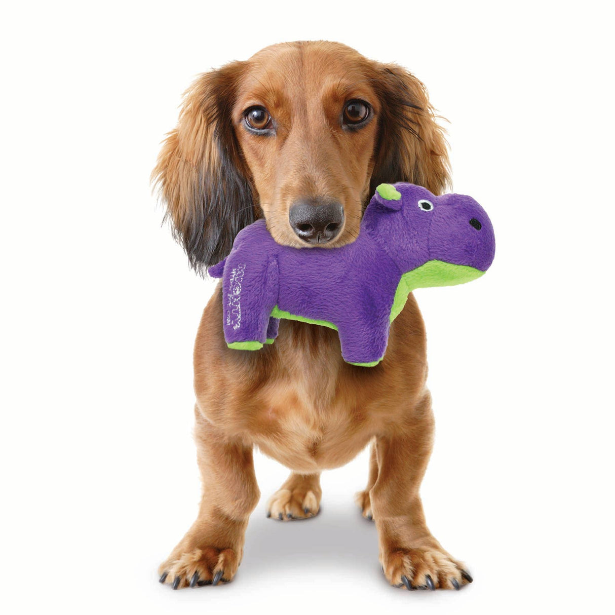 Mighty Jr Safari Hippo - Purple, Plush, Squeaky Dog Toy