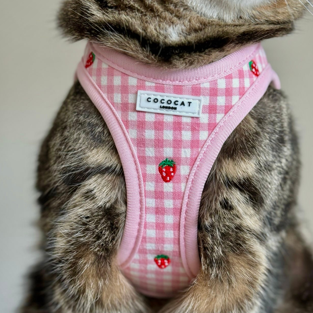 Cocopup Cat Harness - Strawberry Picnic