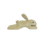 Mighty Jr Nature Rabbit - Brown, Plush, Squeaky Dog Toy