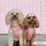 Cocopup Peony Pup Adjustable Neck Harness