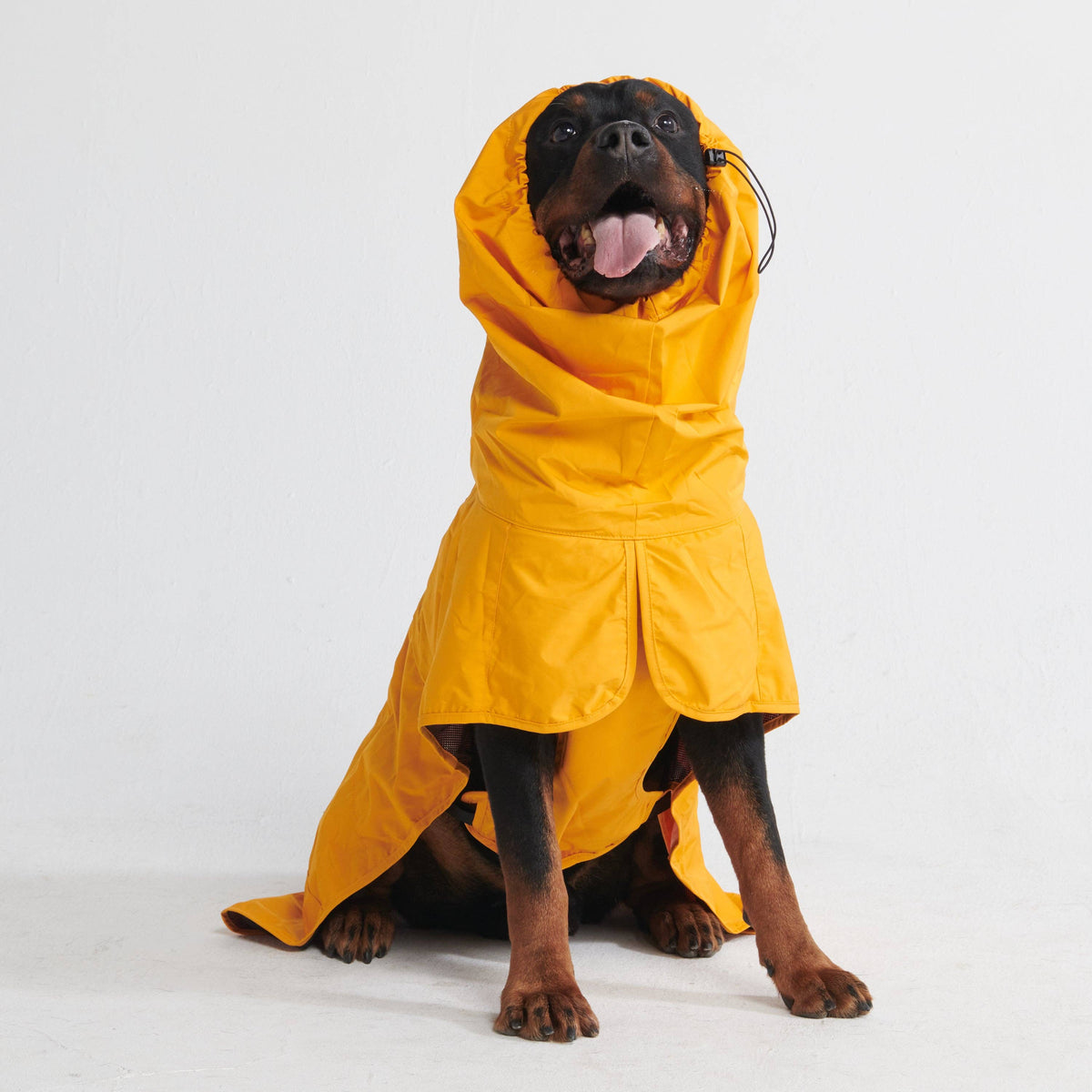 Spark Paws Breatheshield™ Dog Raincoat - Mustard Yellow