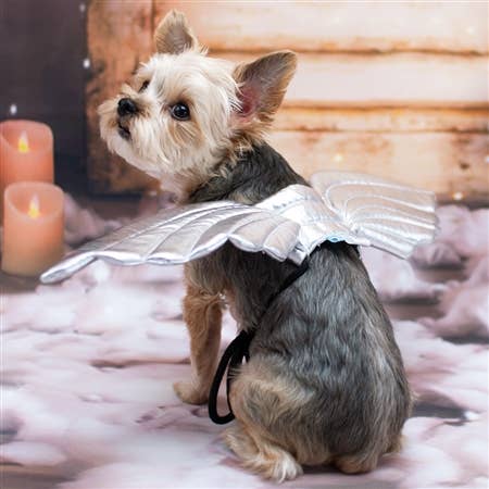 Halloween Angel Wings