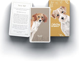 Calm Dog Games Cards