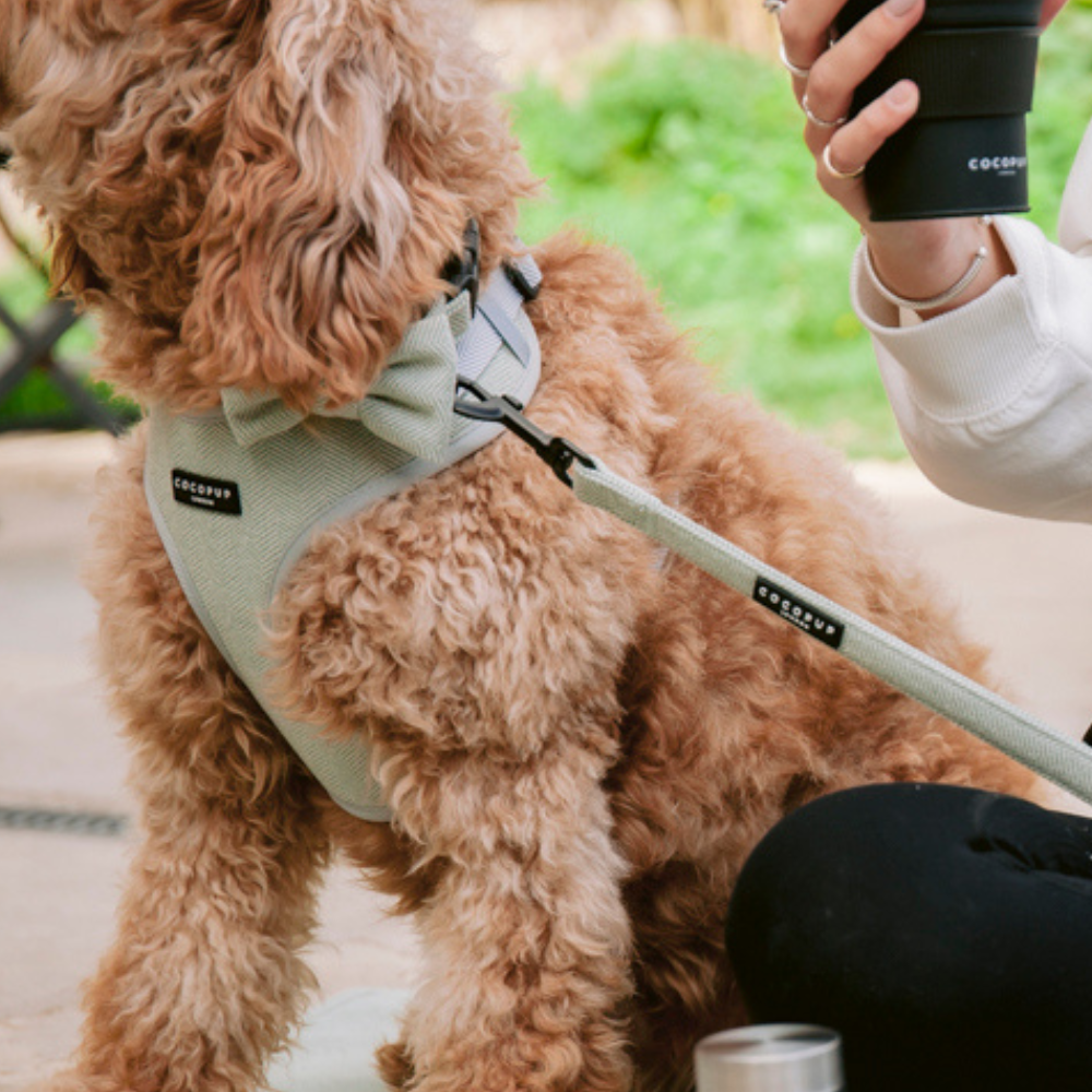 Cocopup Sage Tweed Dog Lead