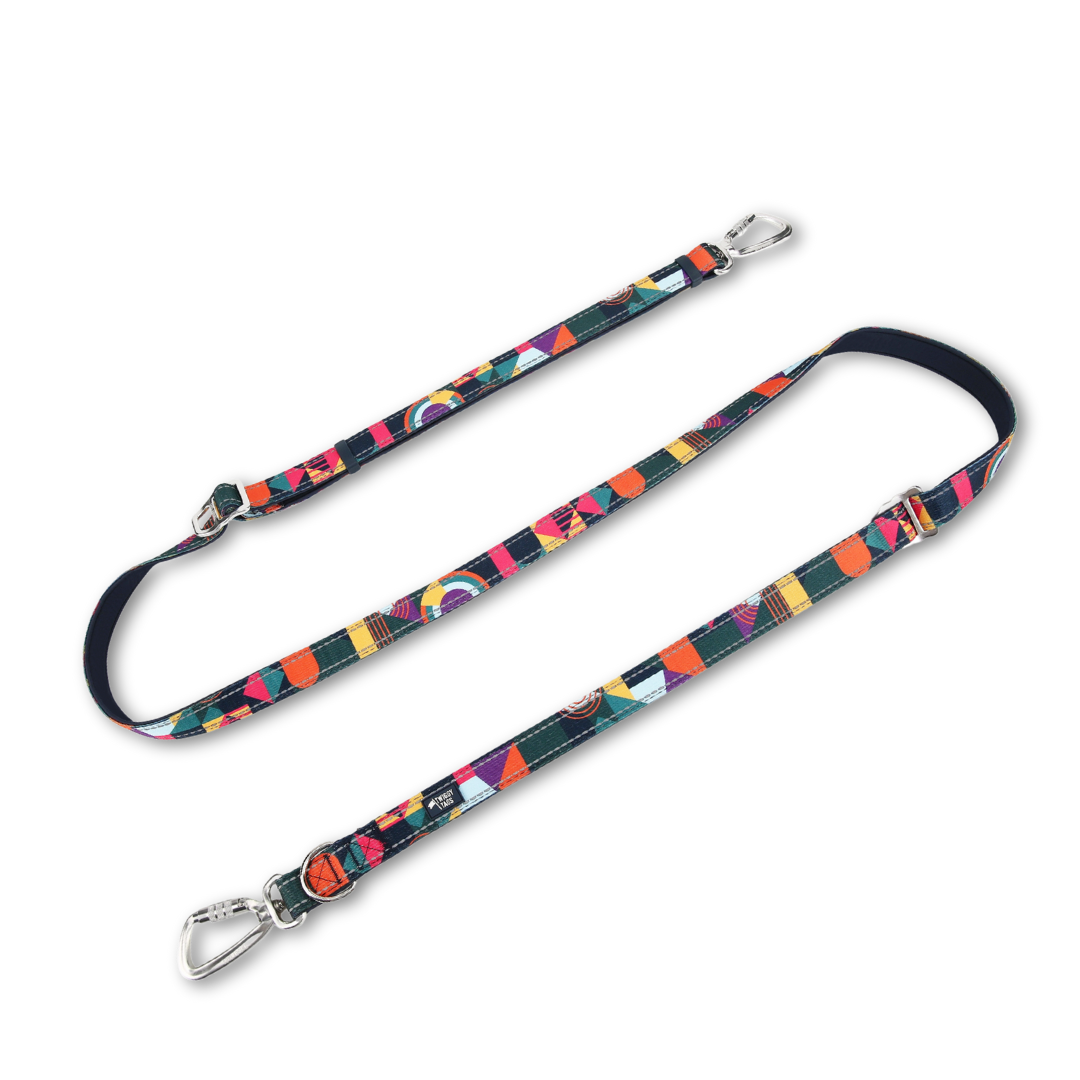 Twiggy Tags Multi-Way Lead