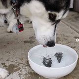 Beloved Dog Rocks - Stop pet urine burns on grass...naturally!