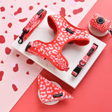 Cocopup Red & Pink Leopard Bow Tie