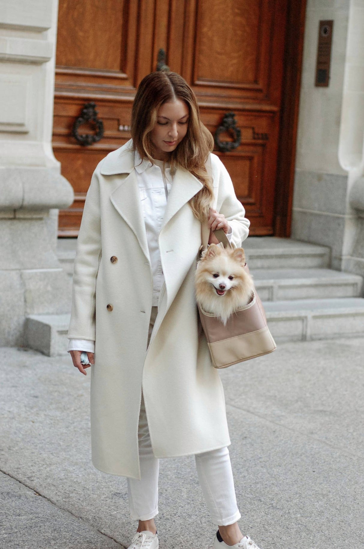 Oskar&Friends Taupe Pet tote bag