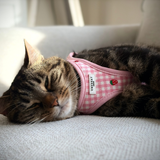Cocopup Cat Harness - Strawberry Picnic