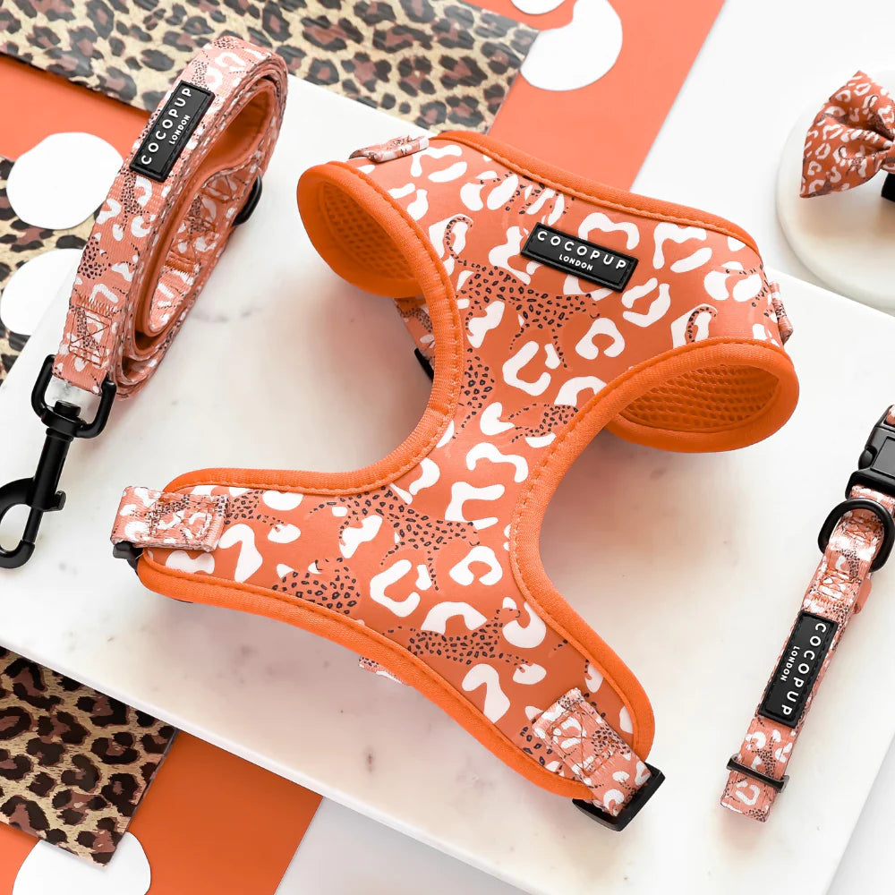 Cocopup Orange Leopard Harness XS