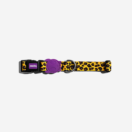 Zeedog Collar Honey