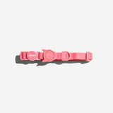 Zeedog Cat Collar Neopro Bubblegum