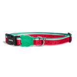 Zeedog Collar Lola