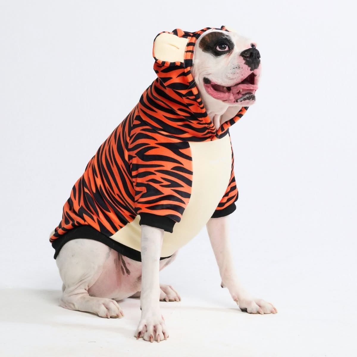 Spark Paws Halloween Dog Hoodie - Tiger