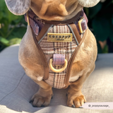 Cocopup Explore Dog Harness - Pup Plaid