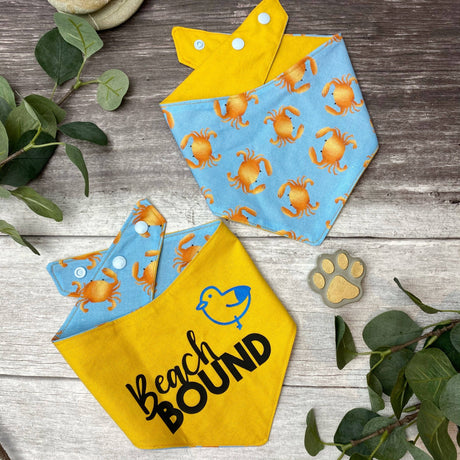 Baxter's Boutique Bandana Beach Bound