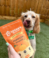 Logan’s Pumpkin Powder For Dogs - Dog Supplement 200g