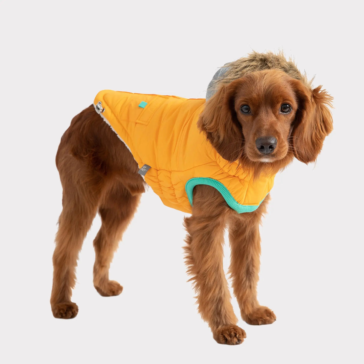 GF Pets Elasto Fit Winter Sailor Dog Coat Parka Yellow Dogbliss The Shop