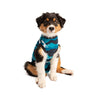 Suitical Recovery Suit - Dog