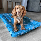 Ice Paws Cooling Pet Bed  -Small or Large