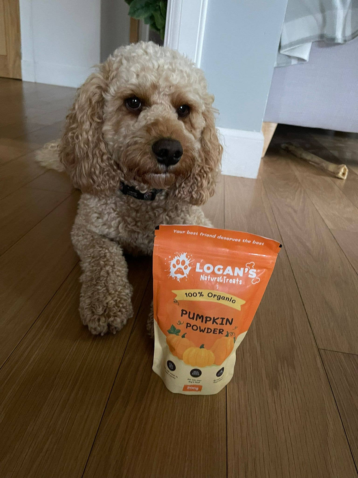 Logan’s Pumpkin Powder For Dogs - Dog Supplement 200g