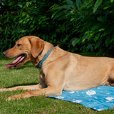 Ice Paws Cooling Mat Small or Large