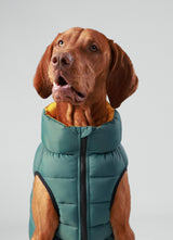 Hugo&Hudson Hackett x Hugo Hudson Dog Puffer Jacket, Forest Green & Gold