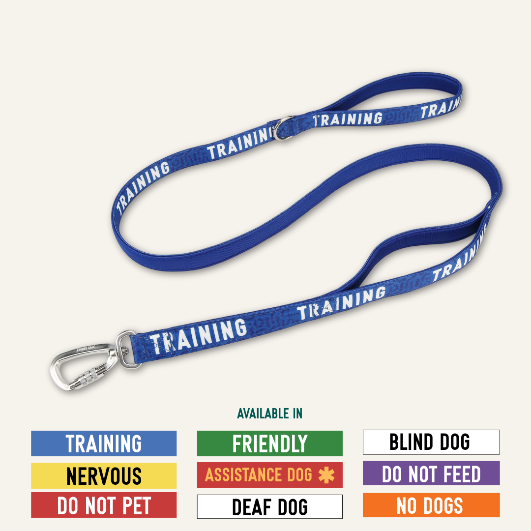 Twiggy Tags Awareness Close Control Dog Lead - Nervous