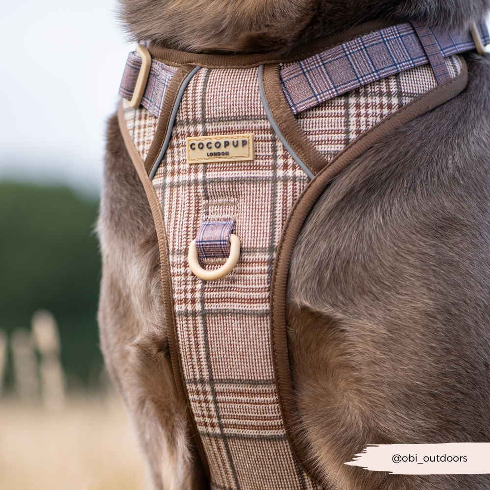 Cocopup Explore Dog Harness - Pup Plaid