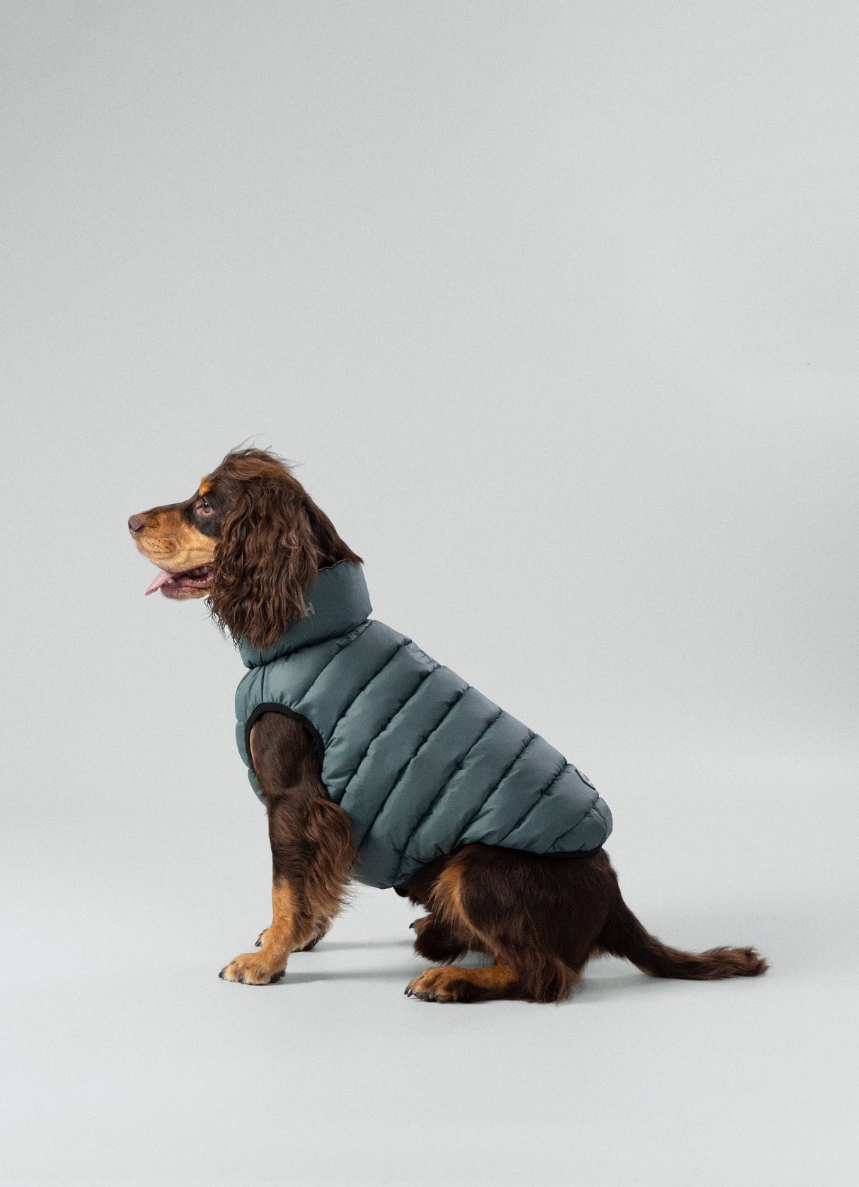 Hugo&Hudson Hackett x Hugo Hudson Dog Puffer Jacket, Forest Green & Gold