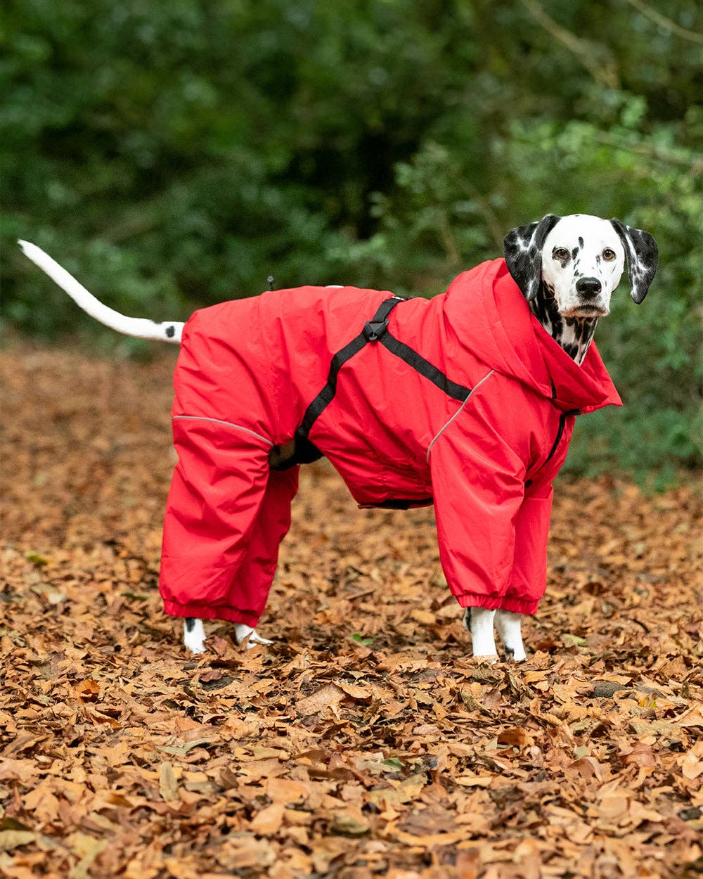 Hugo&Hudson Winter Dog Snowsuit - Red