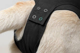 Suitical Recovery Suit - Dog