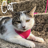 Soft Mesh Cat Harness & Lead - Pink