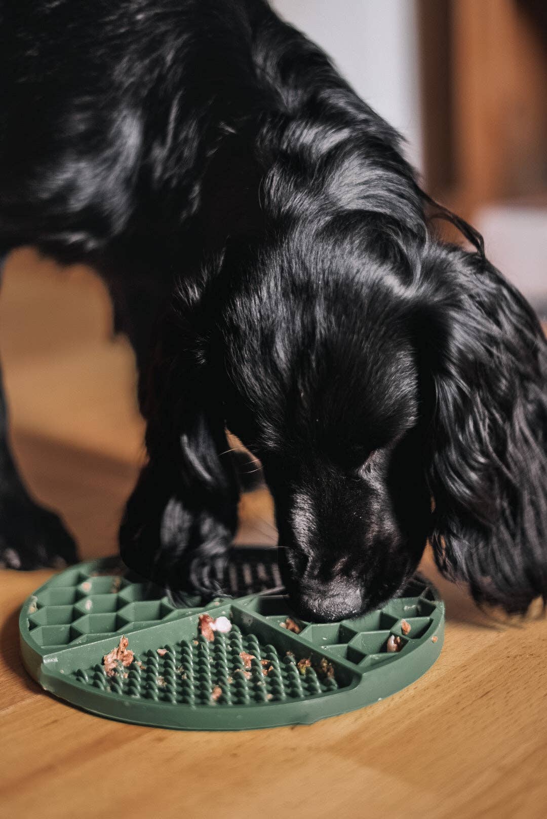 Bodhi & The Birchtree Honeycomb Lick Mat Sea Green