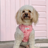 Cocopup Peony Pup Adjustable Neck Harness