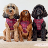 Cocopup Mulberry Plaid Adjustable Neck Harness
