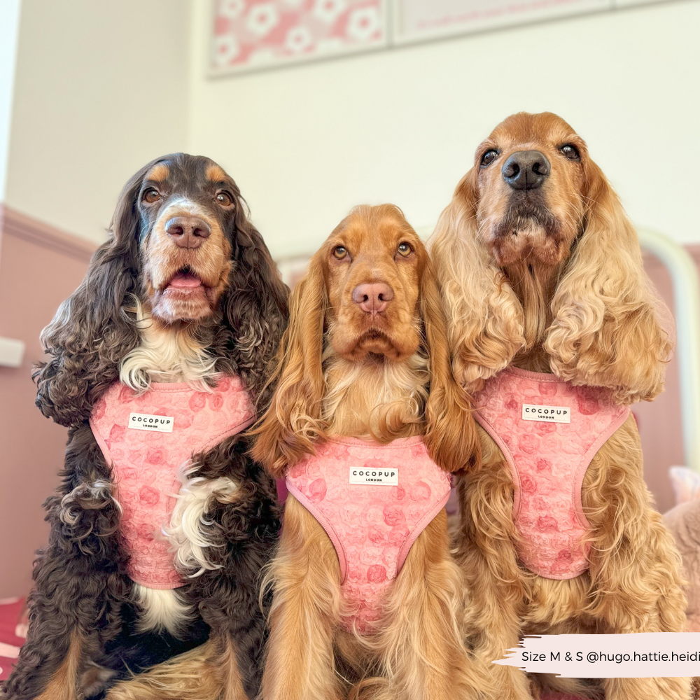 Cocopup Peony Pup Adjustable Neck Harness