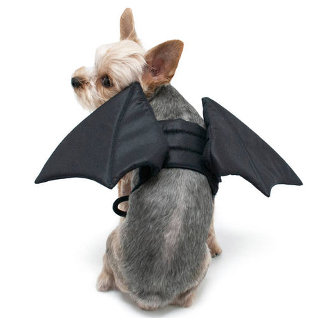 Halloween Bat Wings