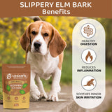 Logan’s Slippery Elm Bark Dog Supplement 100g