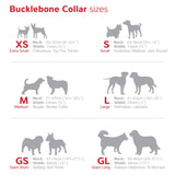 Red Dingo Dog Collar Classic Turquoise