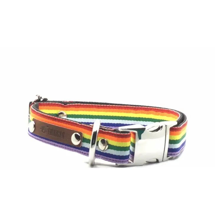 Finnigan Love is Love Dog Collar