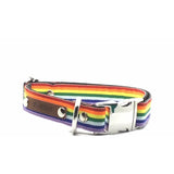 Finnigan Love is Love Dog Collar