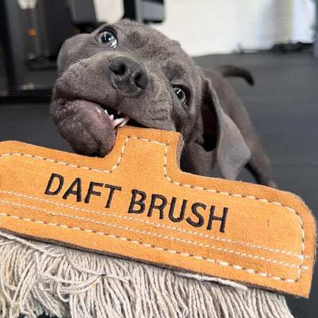 Green&Wilds Daft Brush, Eco Dog Toy